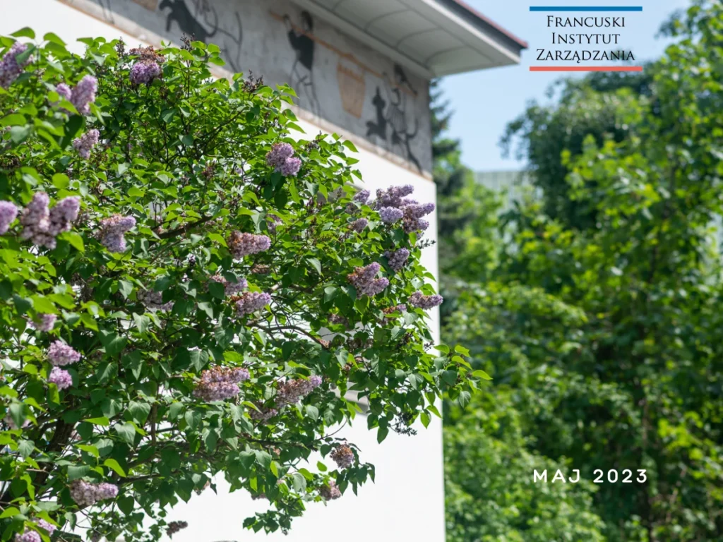 45. edycja MBA – wiosna 2023/2024